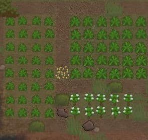 potato best crops rimworld